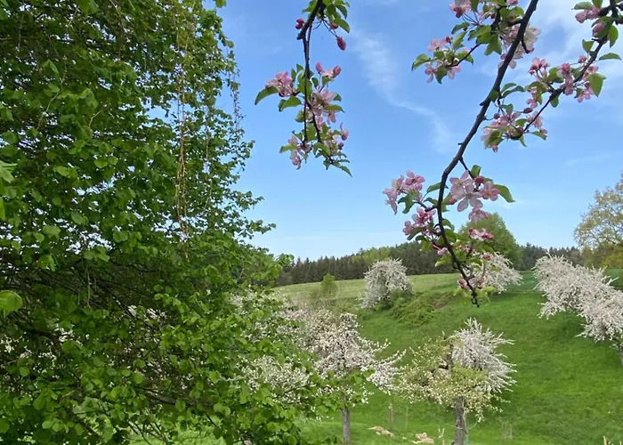 Gasthof Klostergasthof Roggenburg