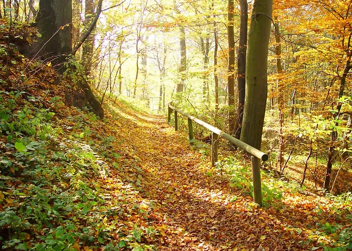 Klostergasthof 3*